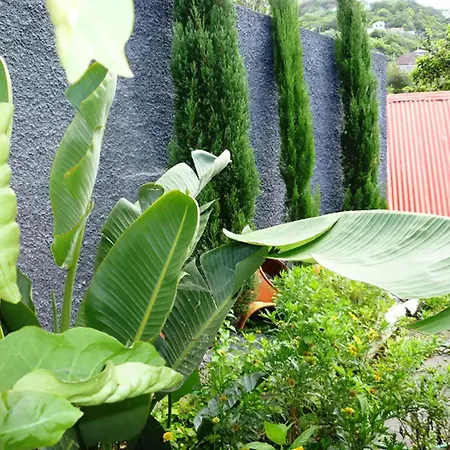 In With Garden Feriehus Porto Da Cruz