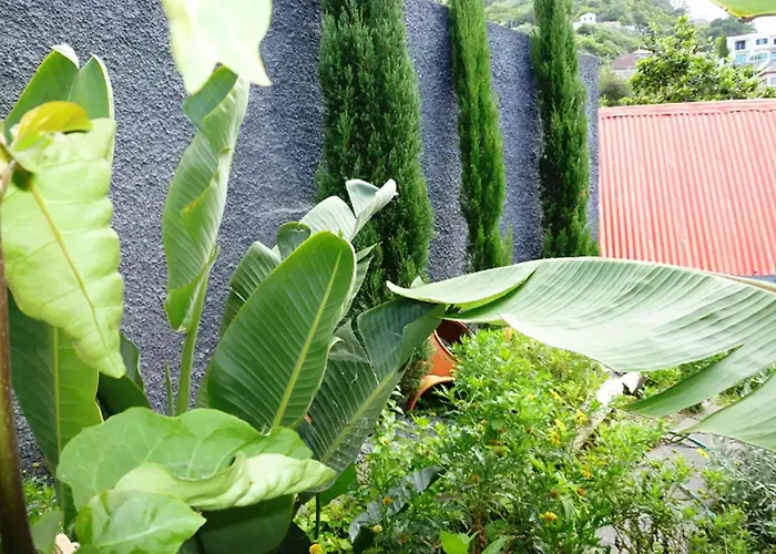 In With Garden Tatil Evi *